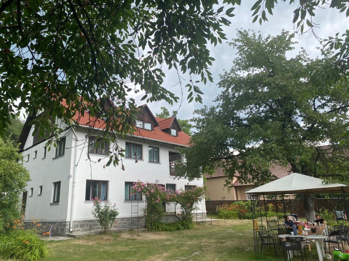 Casa Bucataria Fonix Hotel เปรอิด ภายนอก รูปภาพ
